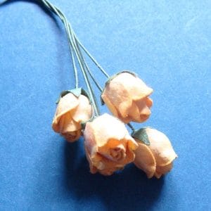 Mulberry Rose buds - Light Orange