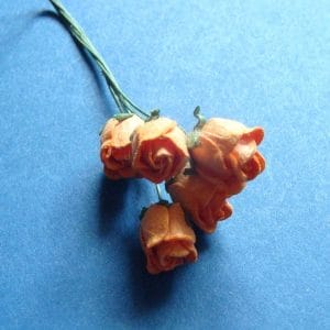 Mulberry Rose buds - Orange