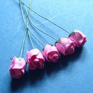 Mulberry Rose buds - Pink