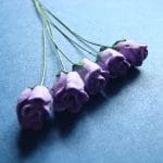 Mulberry Rose buds - Purple