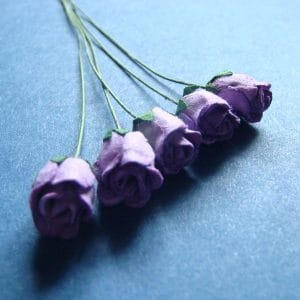 Mulberry Rose buds - Purple