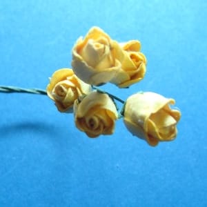Mulberry Rose buds - Yellow