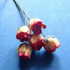 Mulberry Rose buds - Yellow and Red