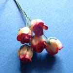 Mulberry Rose buds - Yellow and Red