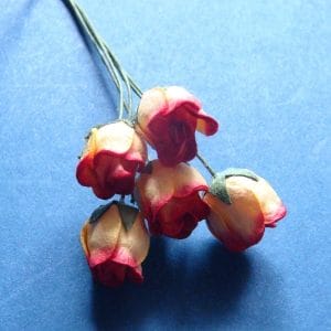 Mulberry Rose buds - Yellow and Red