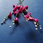 Stem with Flowers - Dark Pink