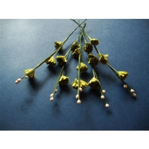 Stem with Flowers - Green