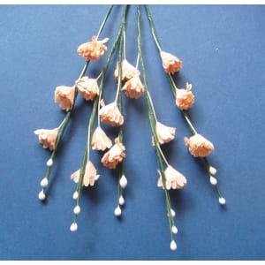 Stem with Flowers - Light Orange