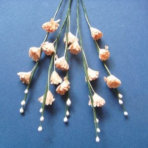 Stem with Flowers - Light Orange