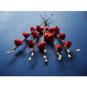 Stem with Flowers - Red