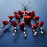 Stem with Flowers - Red