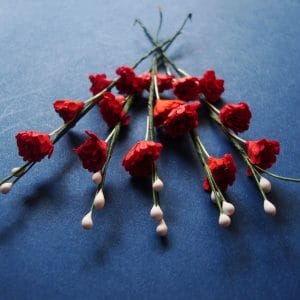 Stem with Flowers - Red