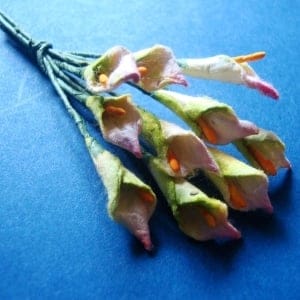 Tulip - Green and Pink