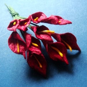 Tulip - Maroon
