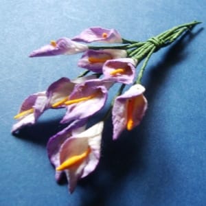 Tulip - White and Purple