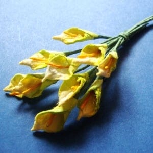 Tulip - Yellow and Green