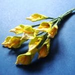 Tulip - Yellow and Green