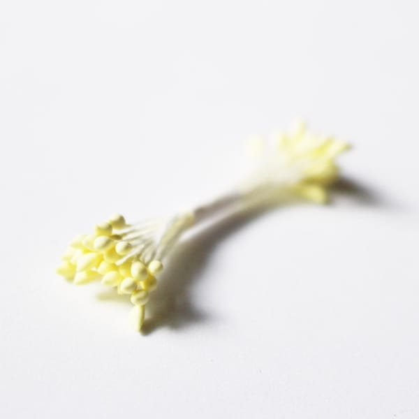 Pollens - Cream