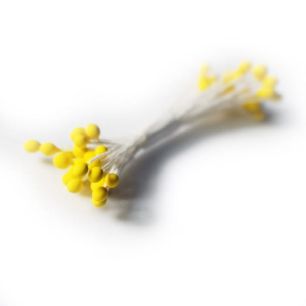 Pollens - Yellow