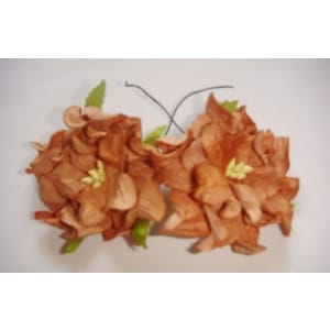 Curled Flowers (Large) - Dark Brown (A pack of 5 flowers)