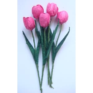 Tulips - Pink
