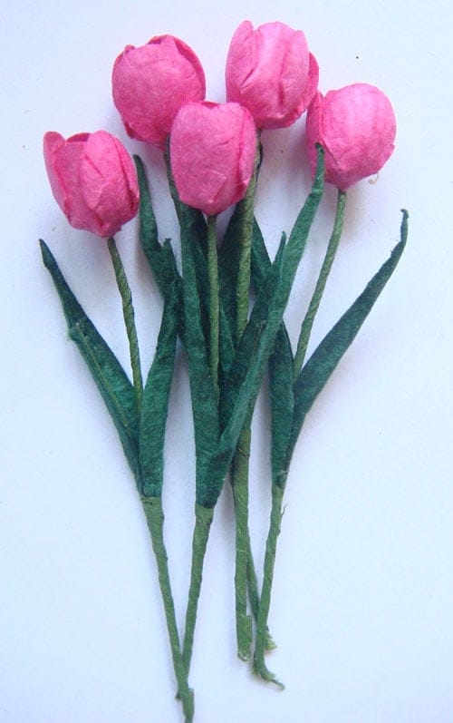 Tulips - Pink CAMR 156 Tulips - Pink