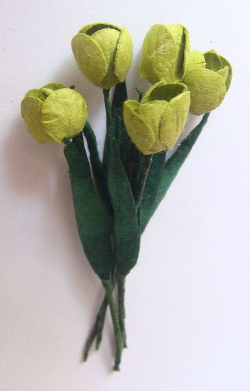 Tulips - Green (A pack of 5 tulips) CAMR 157 Tulips - Green (A pack of 5 tulips)