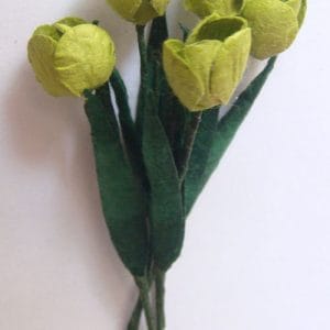 Tulips - Green (A pack of 5 tulips)