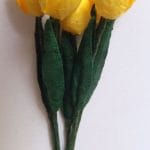 Tulips - Yellow