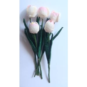Tulips - White with Pink tips