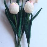 Tulips - White with Pink tips