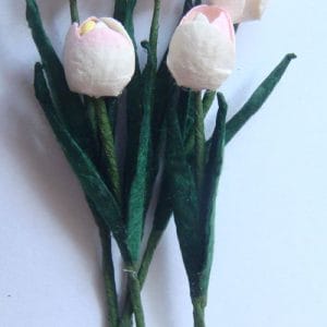 Tulips - White with Pink tips