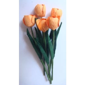 Tulips - Orange