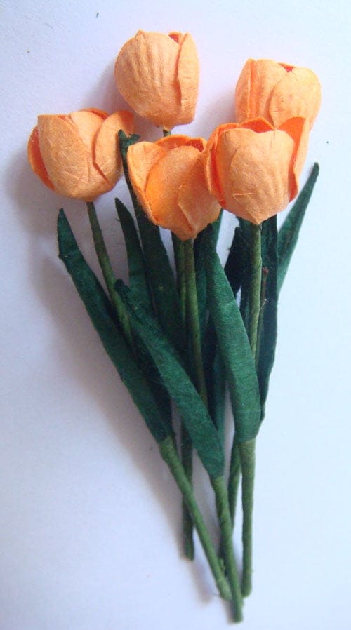 Tulips - Orange CAMR 160 Tulips - Orange