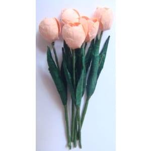 Tulips - Peach
