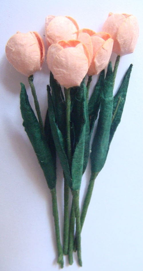 Tulips - Peach CAMR 161 Tulips - Peach