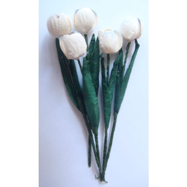 Tulips - White with Blue tips