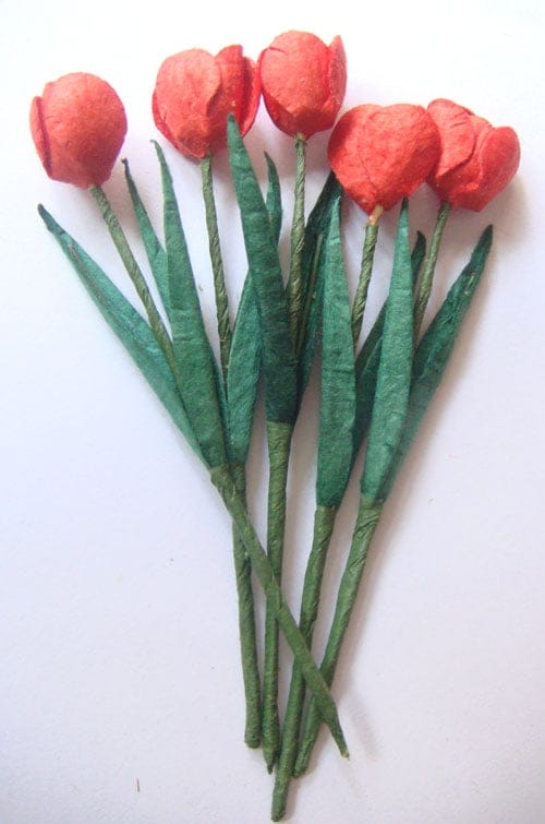 Tulips - Red CAMR 163 Tulips - Red