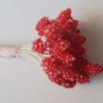 Granulated Pollens - Red