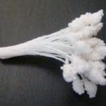 Granulated Pollens - White