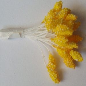 Granulated Pollens - Yellow