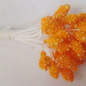Granulated Pollens - Orange