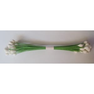 Wired Pollens - White