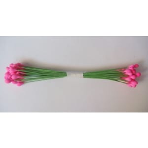 Wired Pollens - Pink