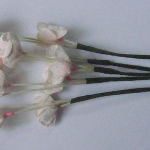 A Stem of Flowers with stamens - Cream
