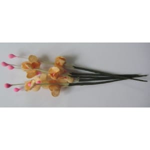 A Stem of Flowers with stamens - Orange