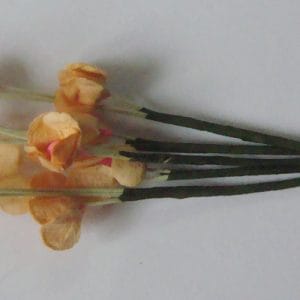 A Stem of Flowers with stamens - Orange