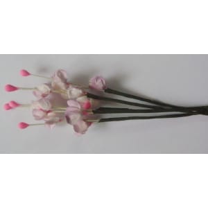 A Stem of Flowers with stamens - White and Lavendar