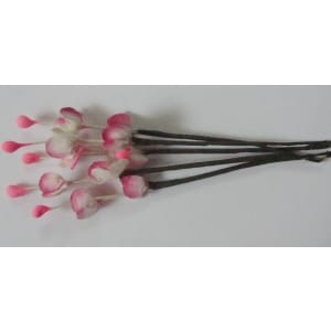 A Stem of Flowers with stamens - White and Pink