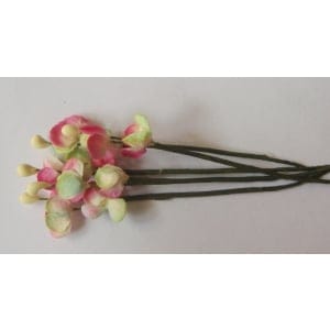 A Stem of Flowers with stamens - Pink and Green